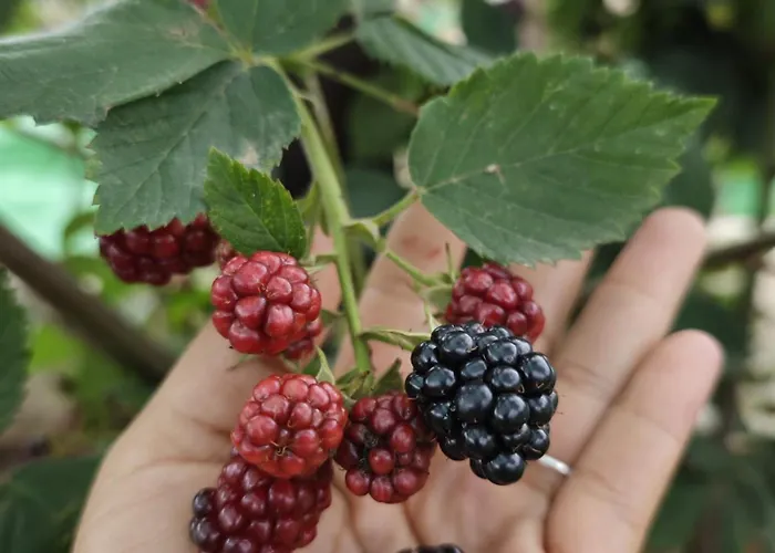 Angel's House Сasa de vacaciones