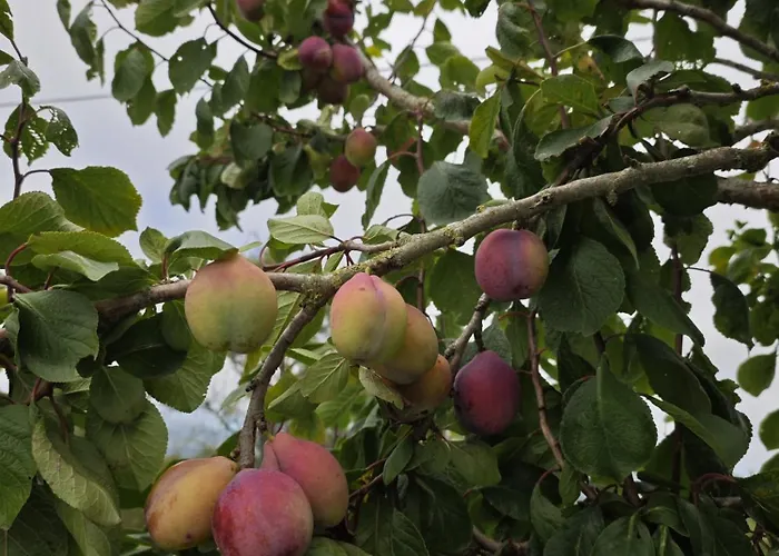 Angel's House Сasa de vacaciones *